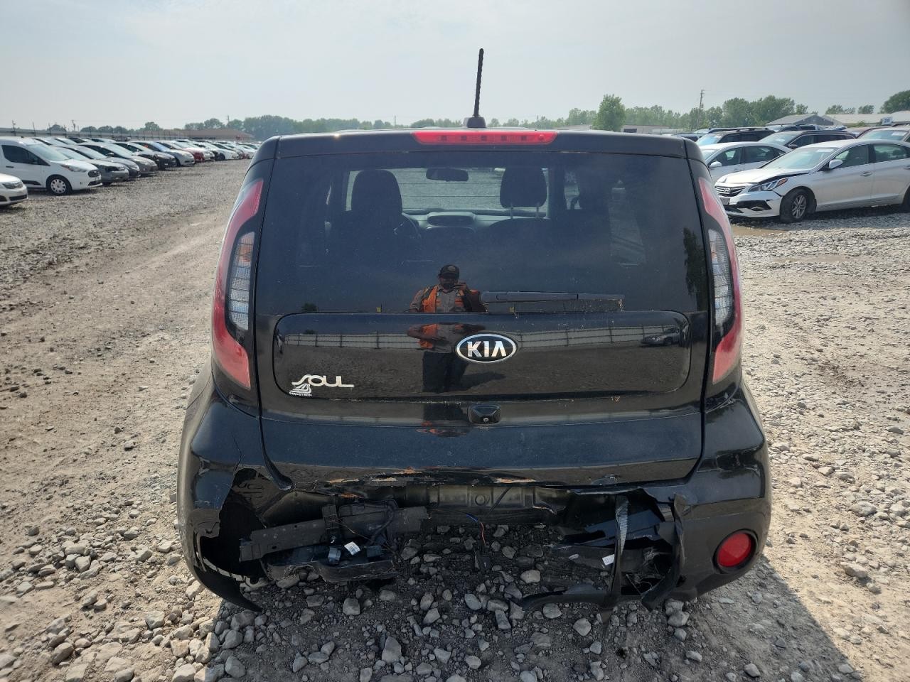 Vehicle/105433_06.jpg