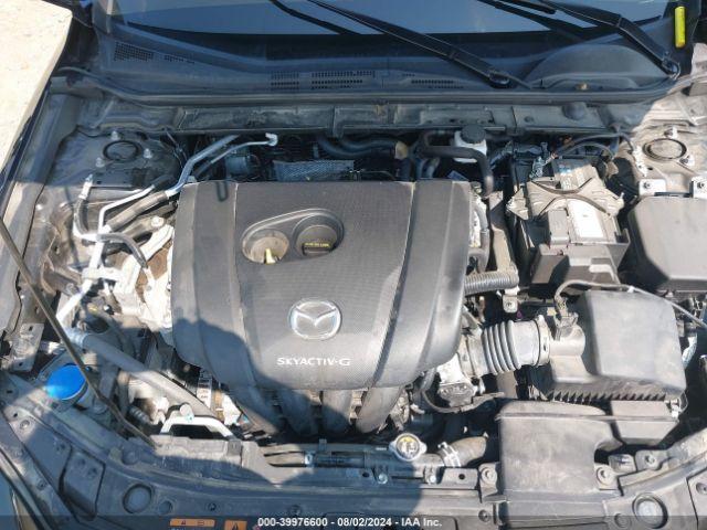 g/j/c/i/f/e7501699-953d-4fea-be6d-16b3d0e070a9.jpeg