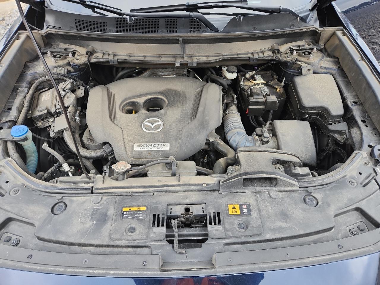 h/d/h/g/j/d83bb740-610d-4dab-ae81-11b2fbd715c5.jpg