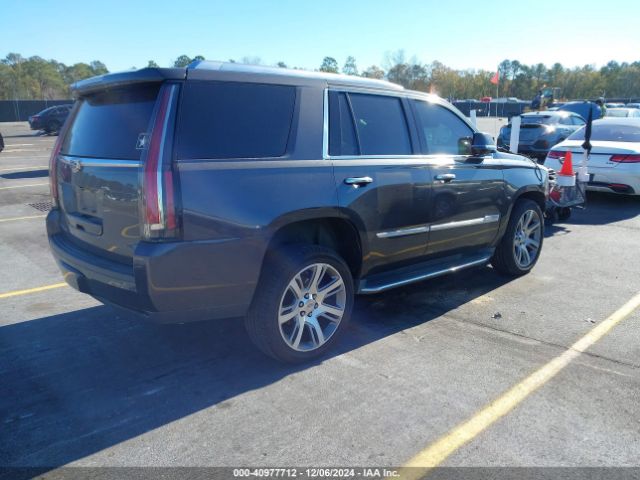https://f005.backblazeb2.com/file/img-partshotlines-com/Inventory/MS102/Vehicle/6754_04.jpg