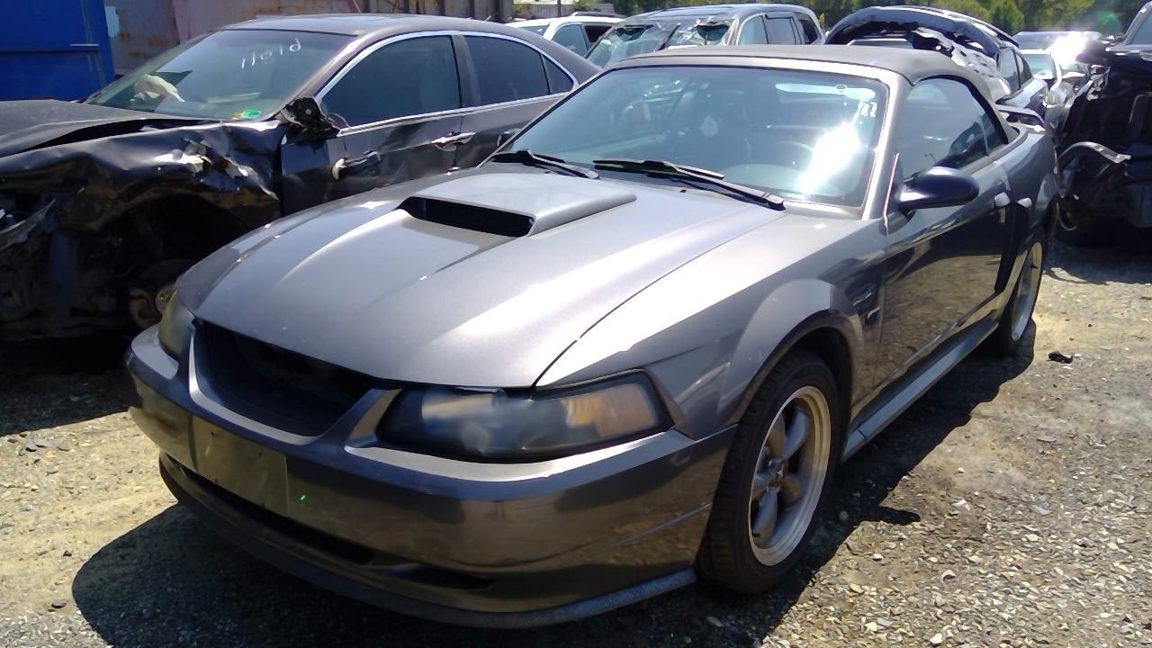 b/a/c/c/c/966517dc-be24-418d-9688-3715a354fb77.jpeg