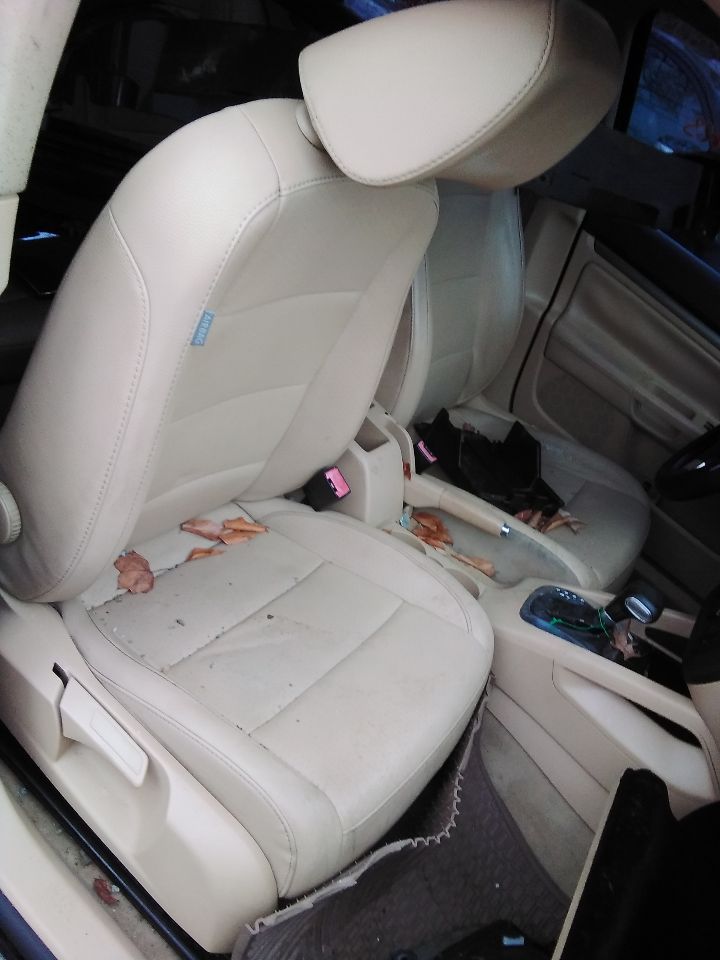 https://f005.backblazeb2.com/file/img-partshotlines-com/Inventory/MS172/Vehicle/18810_04.jpg