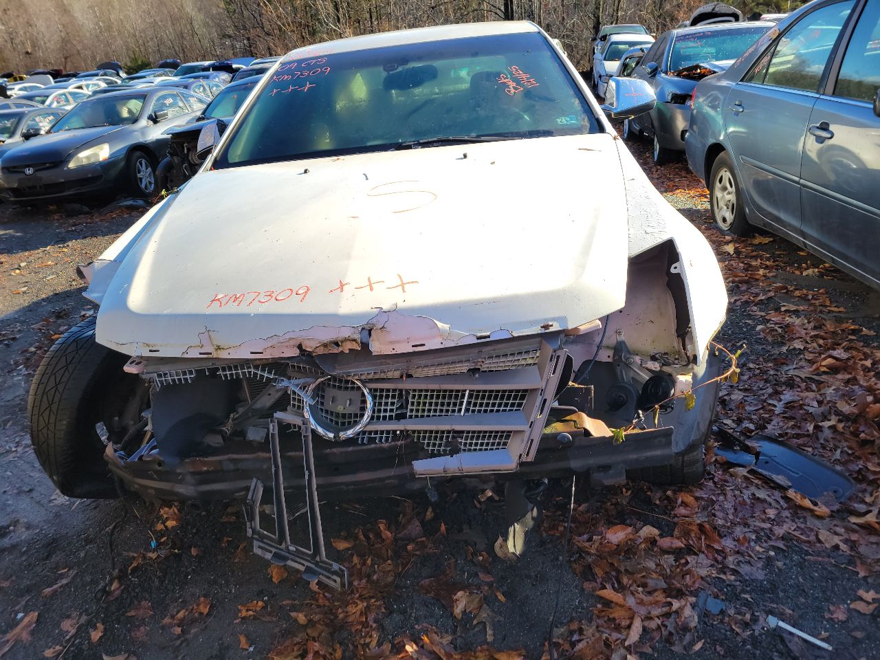 https://f005.backblazeb2.com/file/img-partshotlines-com/Inventory/MS172/Vehicle/20366_01.jpg