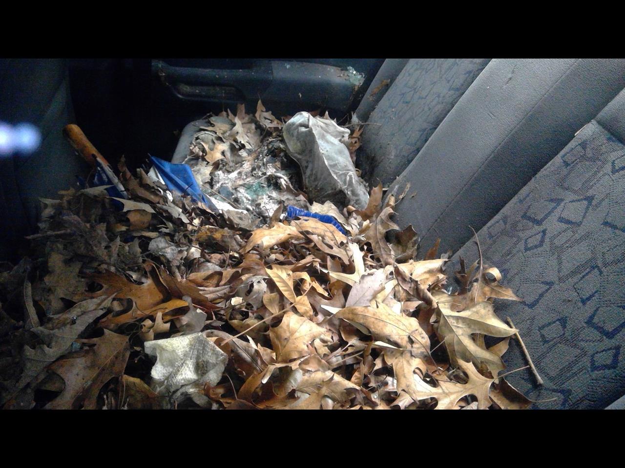 https://f005.backblazeb2.com/file/img-partshotlines-com/Inventory/MS215/Vehicle/14814_12.jpg