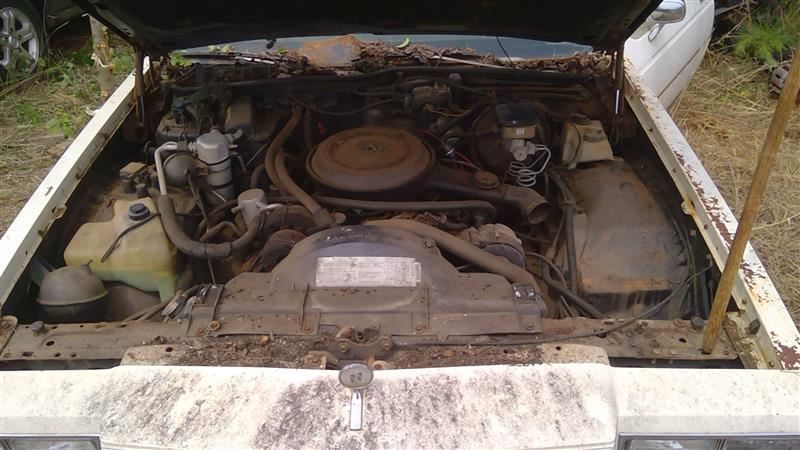 https://f005.backblazeb2.com/file/img-partshotlines-com/Inventory/MS293/Vehicle/11752_06.jpg