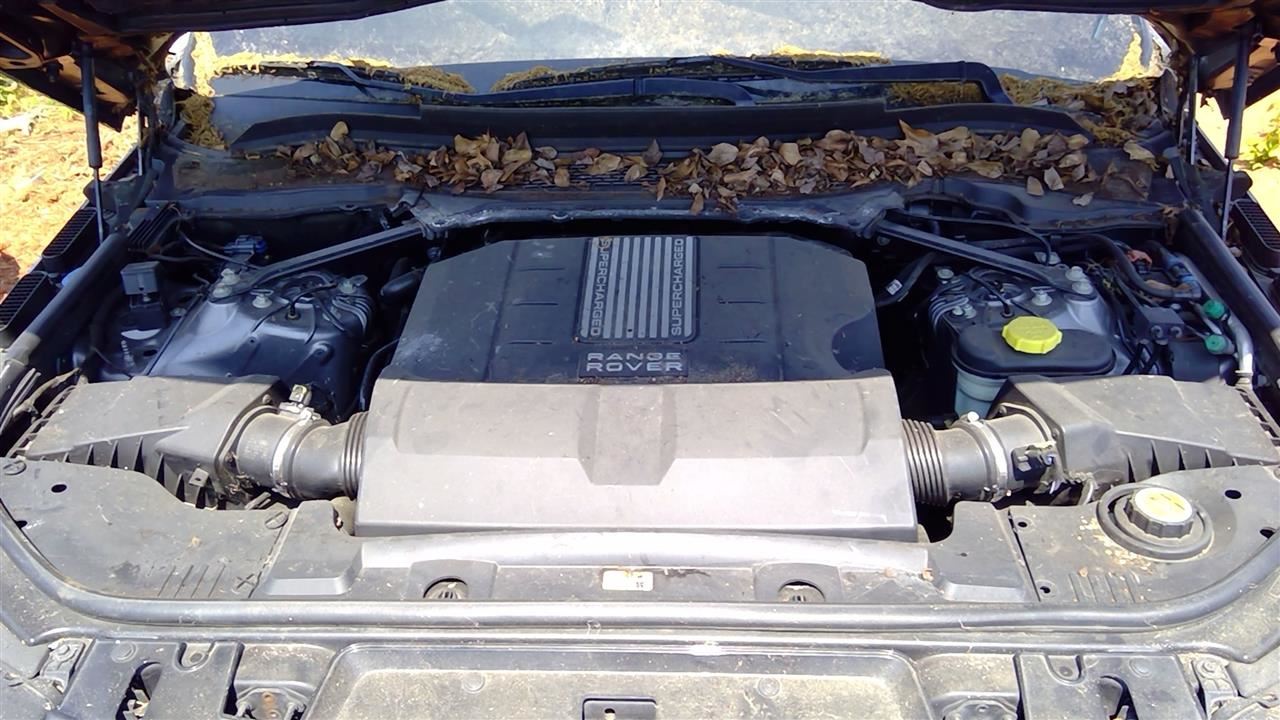 https://f005.backblazeb2.com/file/img-partshotlines-com/Inventory/MS293/Vehicle/13978_08.jpg