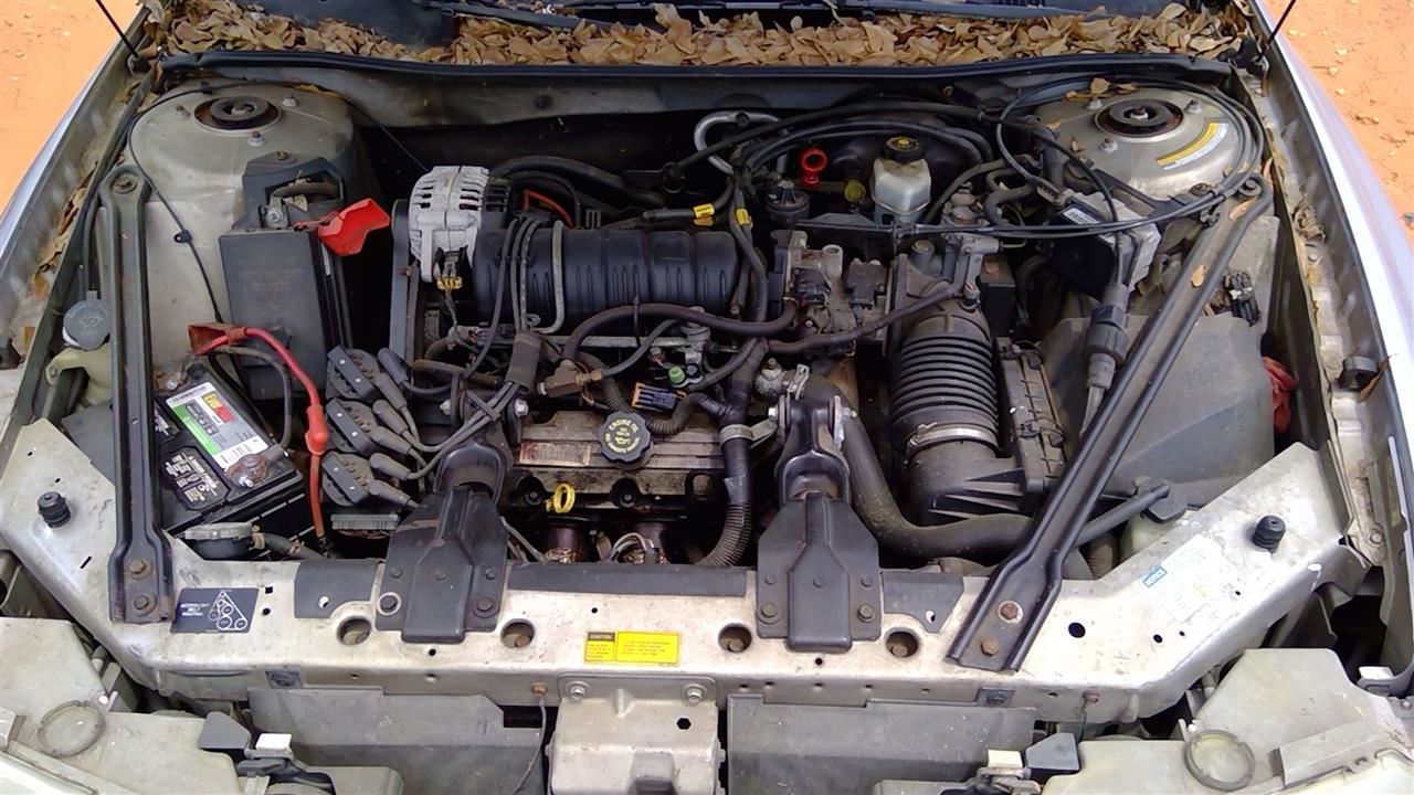 https://f005.backblazeb2.com/file/img-partshotlines-com/Inventory/MS293/Vehicle/14031_08.jpg
