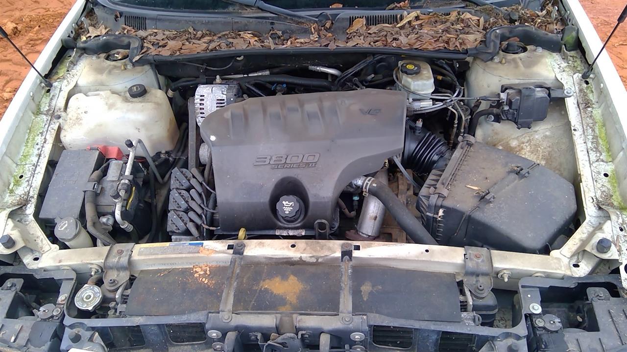 https://f005.backblazeb2.com/file/img-partshotlines-com/Inventory/MS293/Vehicle/15070_07.jpg
