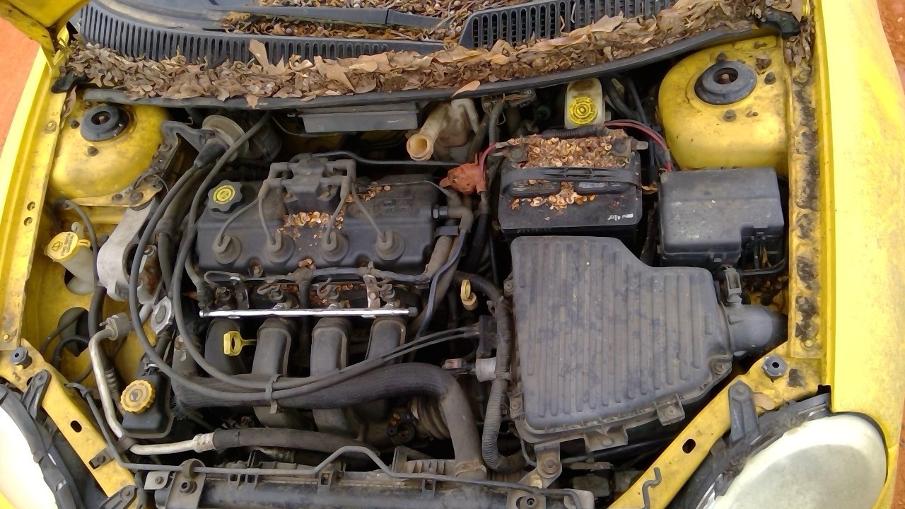 https://f005.backblazeb2.com/file/img-partshotlines-com/Inventory/MS293/Vehicle/15447_07.jpg