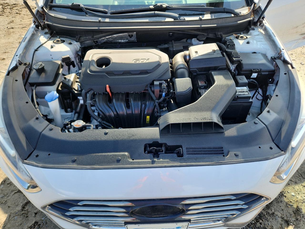 d/g/j/a/b/eea92a39-ece8-458e-8e54-c99f0a733727.jpg