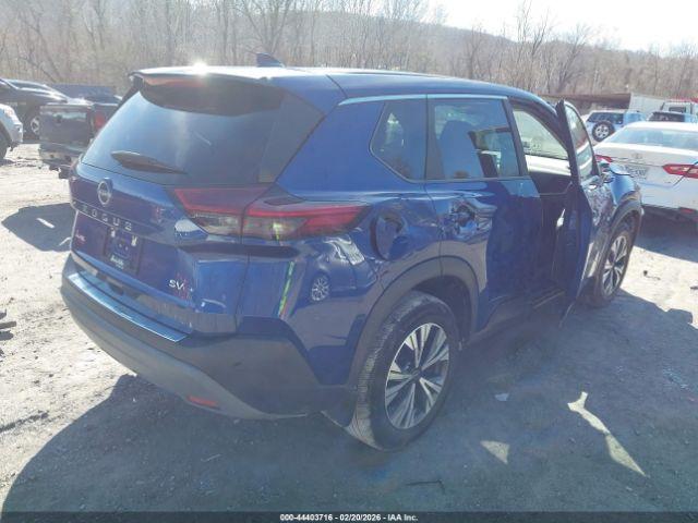d/h/i/h/a/265d121b-95c2-4277-8cd7-013f5e0518c1.jpeg