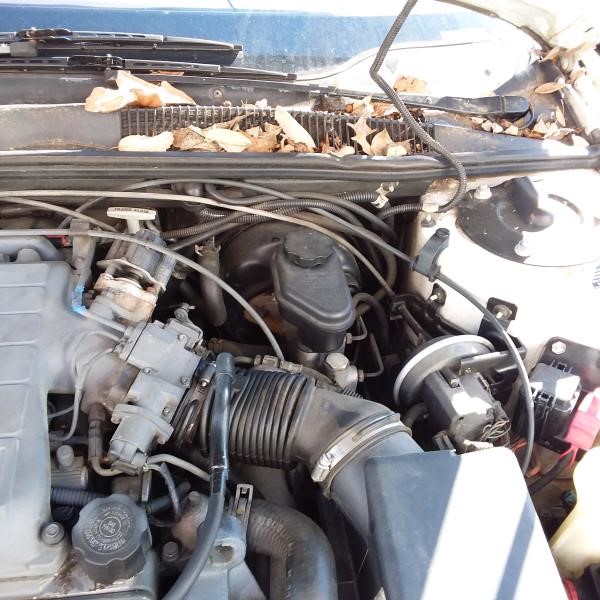 https://f005.backblazeb2.com/file/img-partshotlines-com/Inventory/MS78/Vehicle/6030_11.jpg