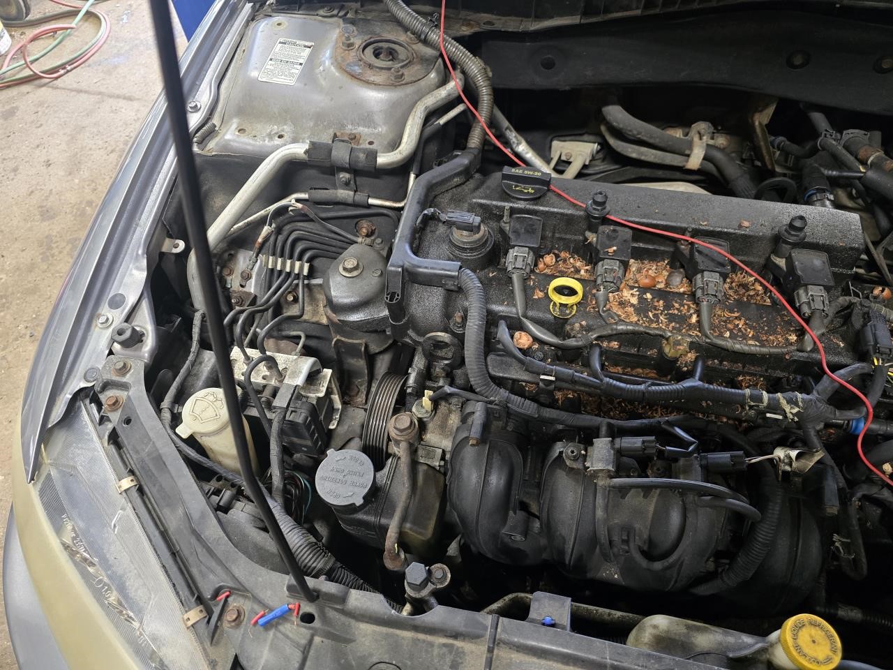 https://f005.backblazeb2.com/file/img-partshotlines-com/Inventory/NE126/Vehicle/8683_06.jpg