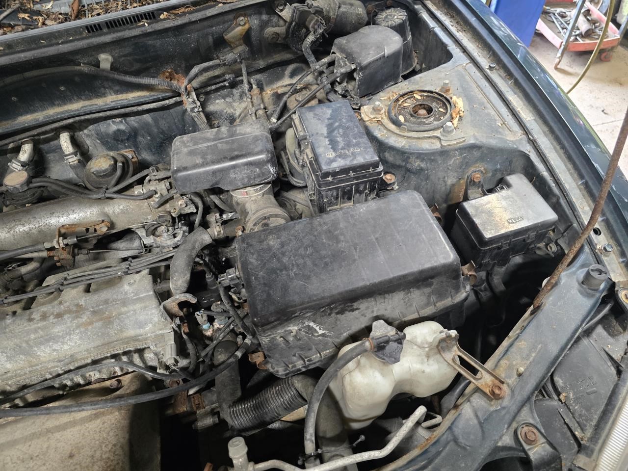 https://f005.backblazeb2.com/file/img-partshotlines-com/Inventory/NE126/Vehicle/8804_07.jpg