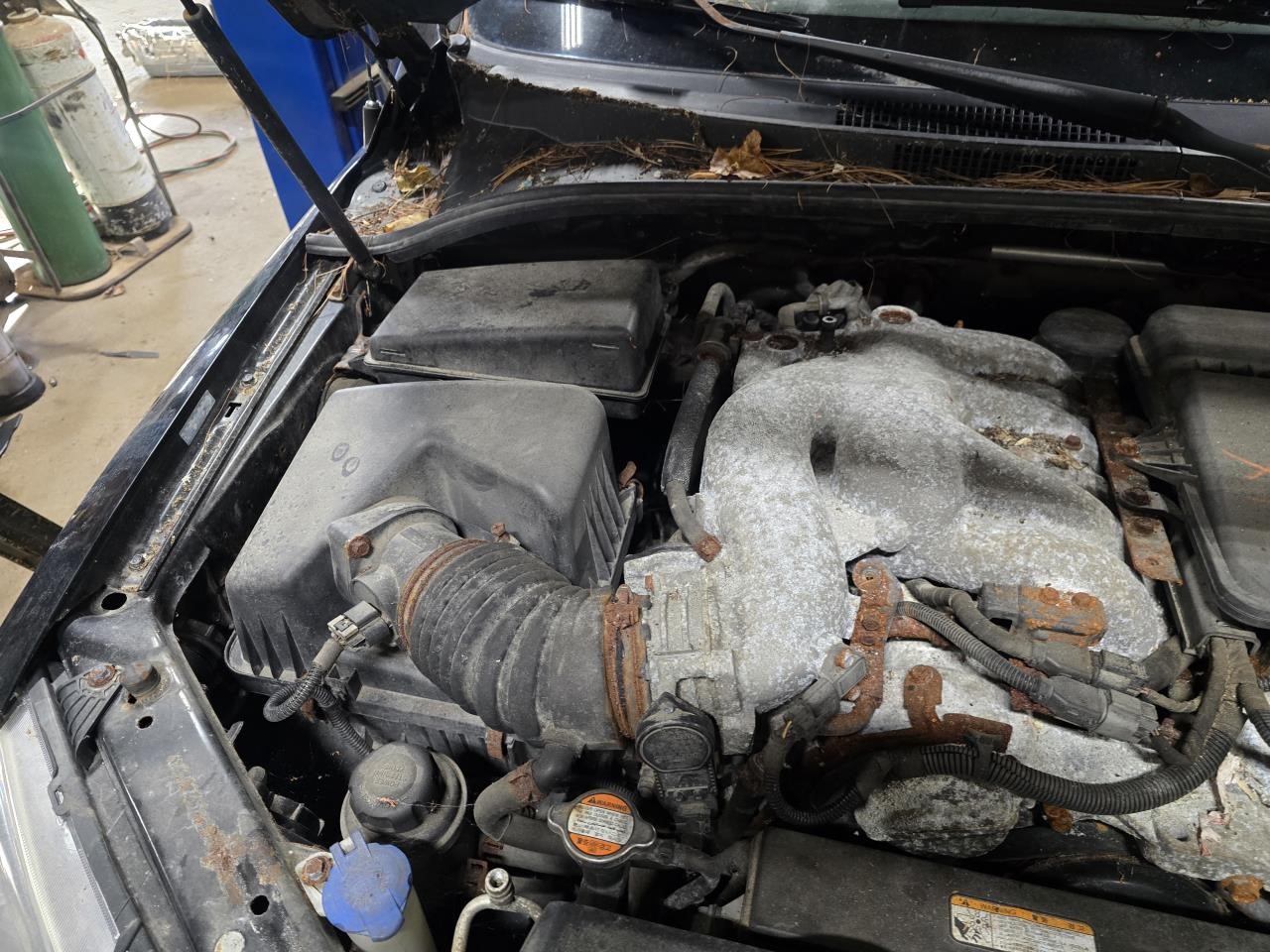 https://f005.backblazeb2.com/file/img-partshotlines-com/Inventory/NE126/Vehicle/8857_04.jpg