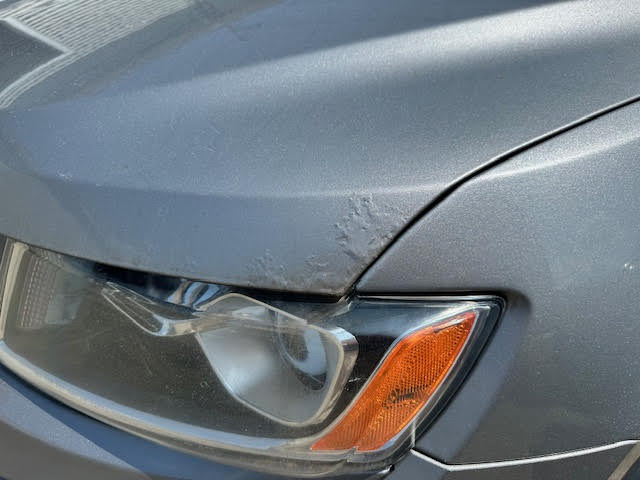 https://f005.backblazeb2.com/file/img-partshotlines-com/Inventory/NE135/Vehicle/20152_06.jpg