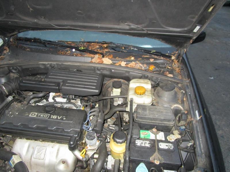 https://f005.backblazeb2.com/file/img-partshotlines-com/Inventory/NE160/Vehicle/22686_11.jpg
