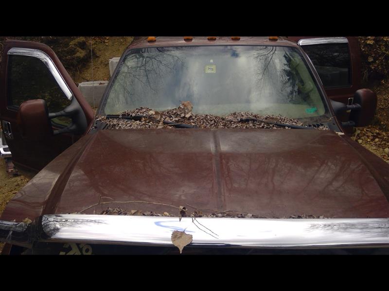 https://f005.backblazeb2.com/file/img-partshotlines-com/Inventory/NE169/Vehicle/5181_11.jpg