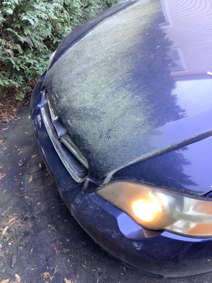 https://f005.backblazeb2.com/file/img-partshotlines-com/Inventory/NE179/Vehicle/64204_04.jpg