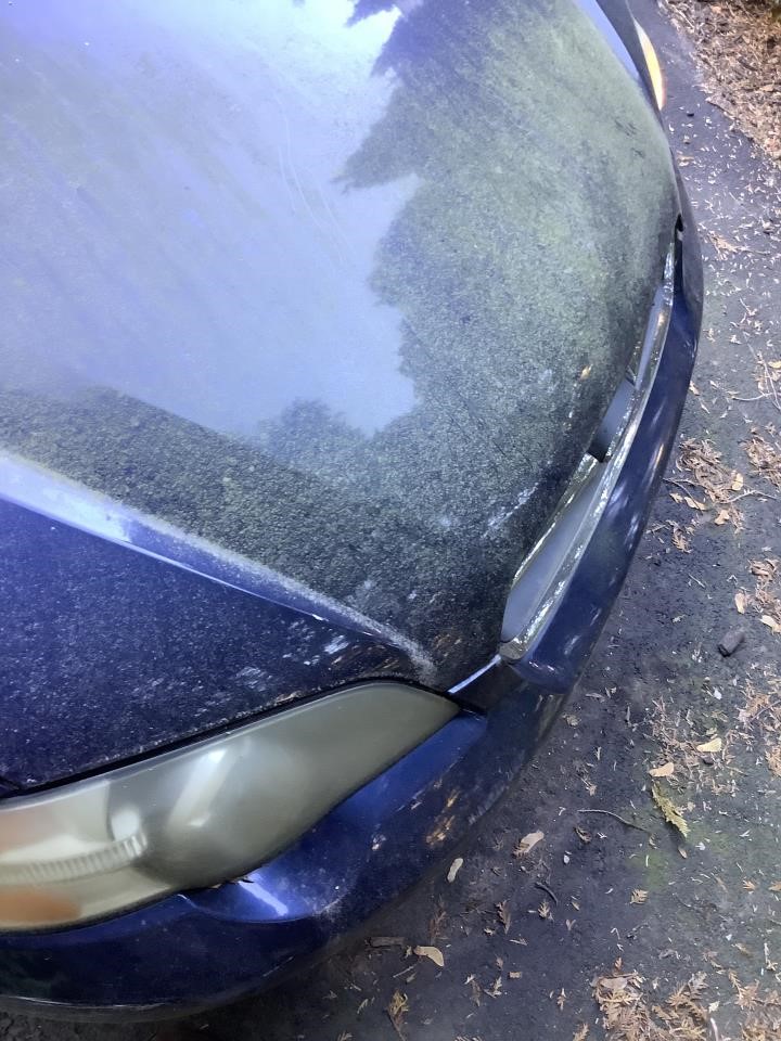 https://f005.backblazeb2.com/file/img-partshotlines-com/Inventory/NE179/Vehicle/64204_05.jpg