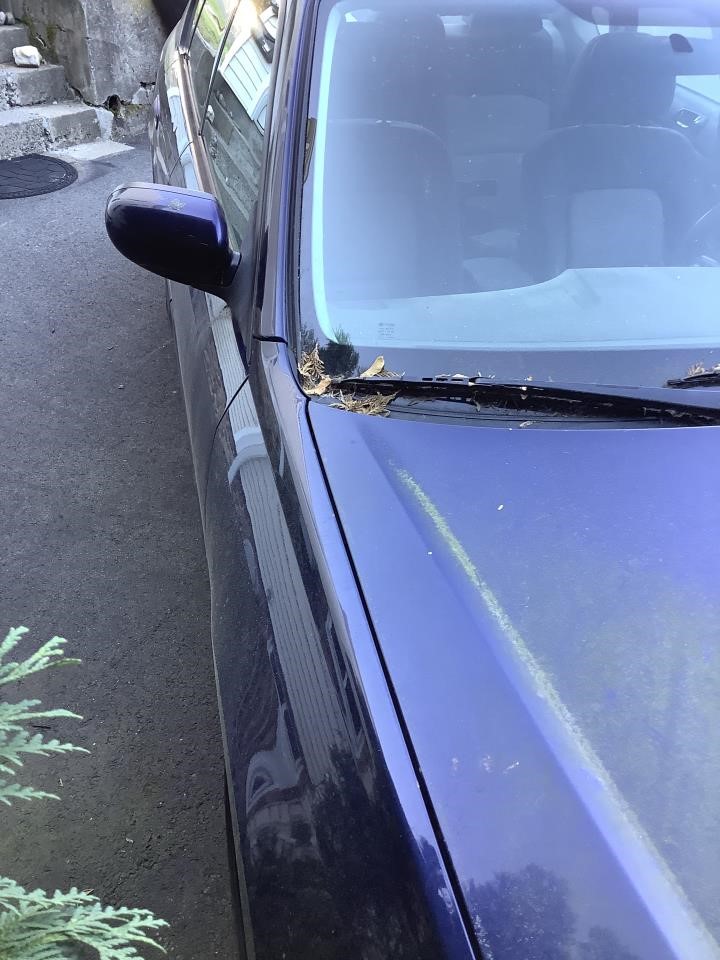 https://f005.backblazeb2.com/file/img-partshotlines-com/Inventory/NE179/Vehicle/64204_11.jpg