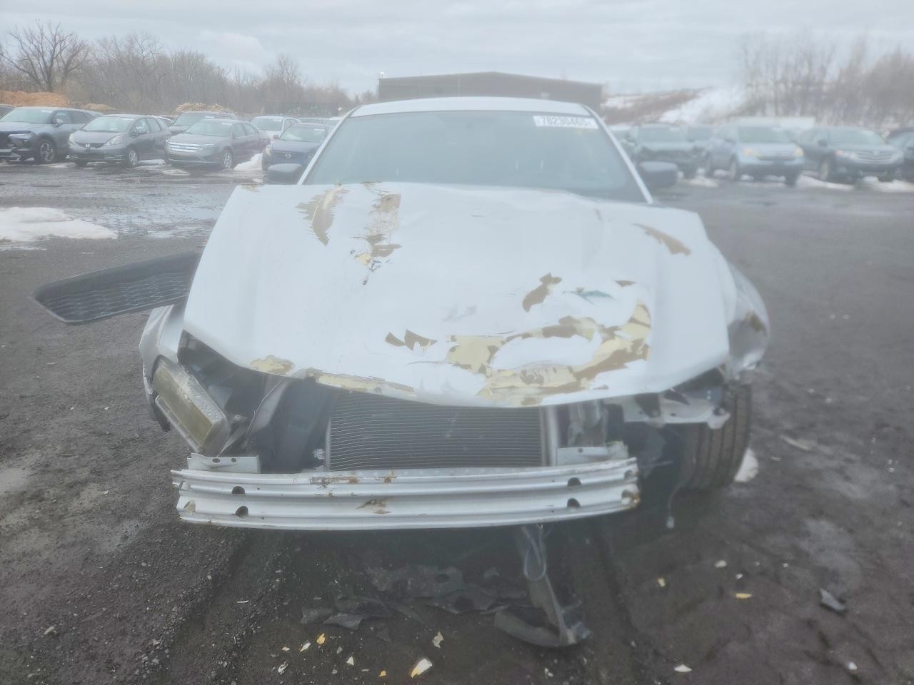 https://f005.backblazeb2.com/file/img-partshotlines-com/Inventory/NE179/Vehicle/69114_08.jpg