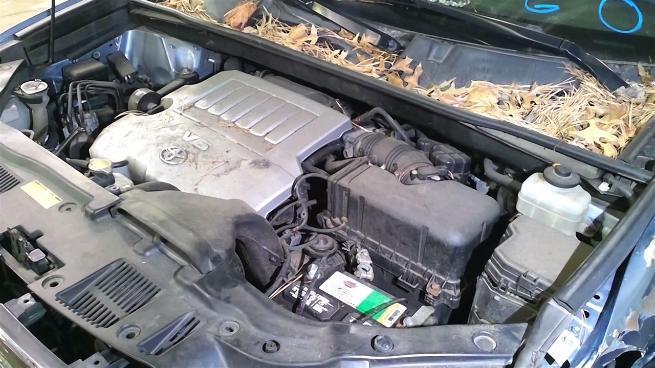 https://f005.backblazeb2.com/file/img-partshotlines-com/Inventory/NE18/Vehicle/17834_02.jpg