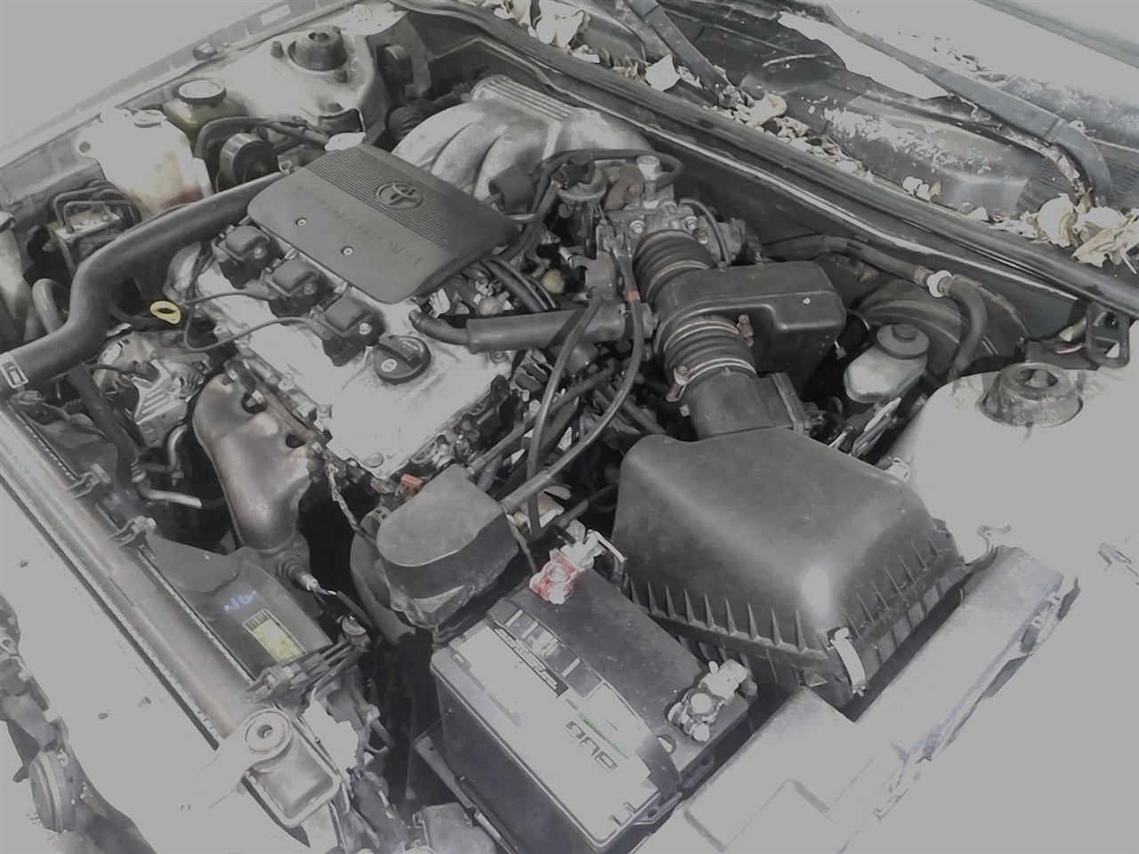 https://f005.backblazeb2.com/file/img-partshotlines-com/Inventory/NE18/Vehicle/18314_01.jpg