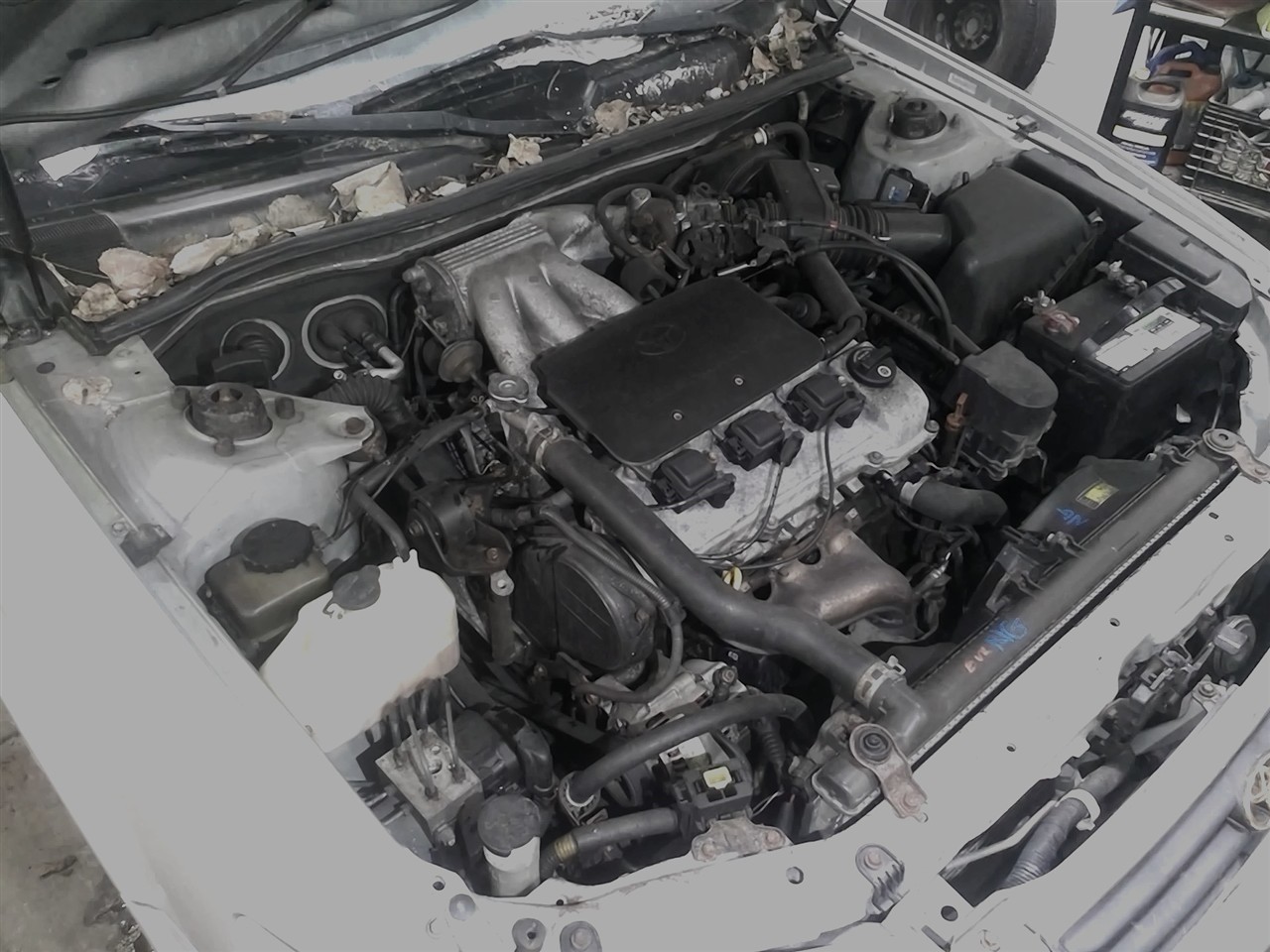 https://f005.backblazeb2.com/file/img-partshotlines-com/Inventory/NE18/Vehicle/18314_02.jpg