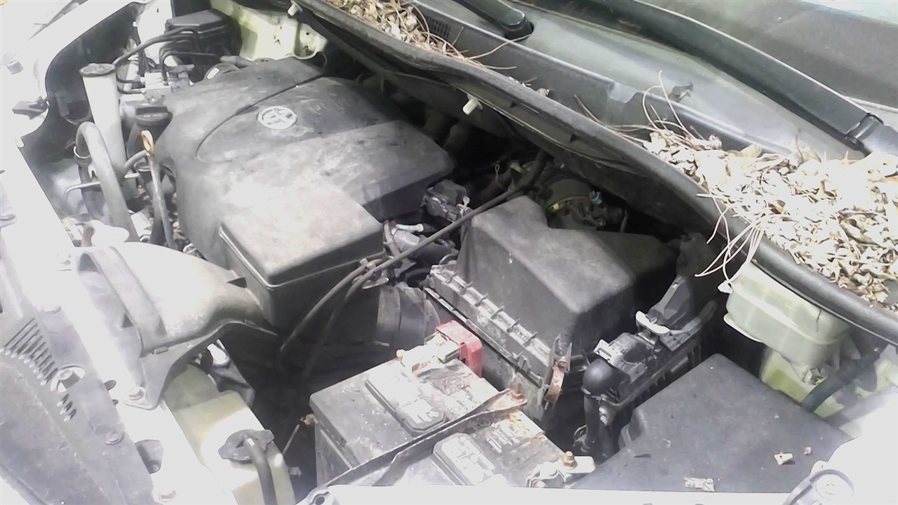 https://f005.backblazeb2.com/file/img-partshotlines-com/Inventory/NE18/Vehicle/18450_02.jpg