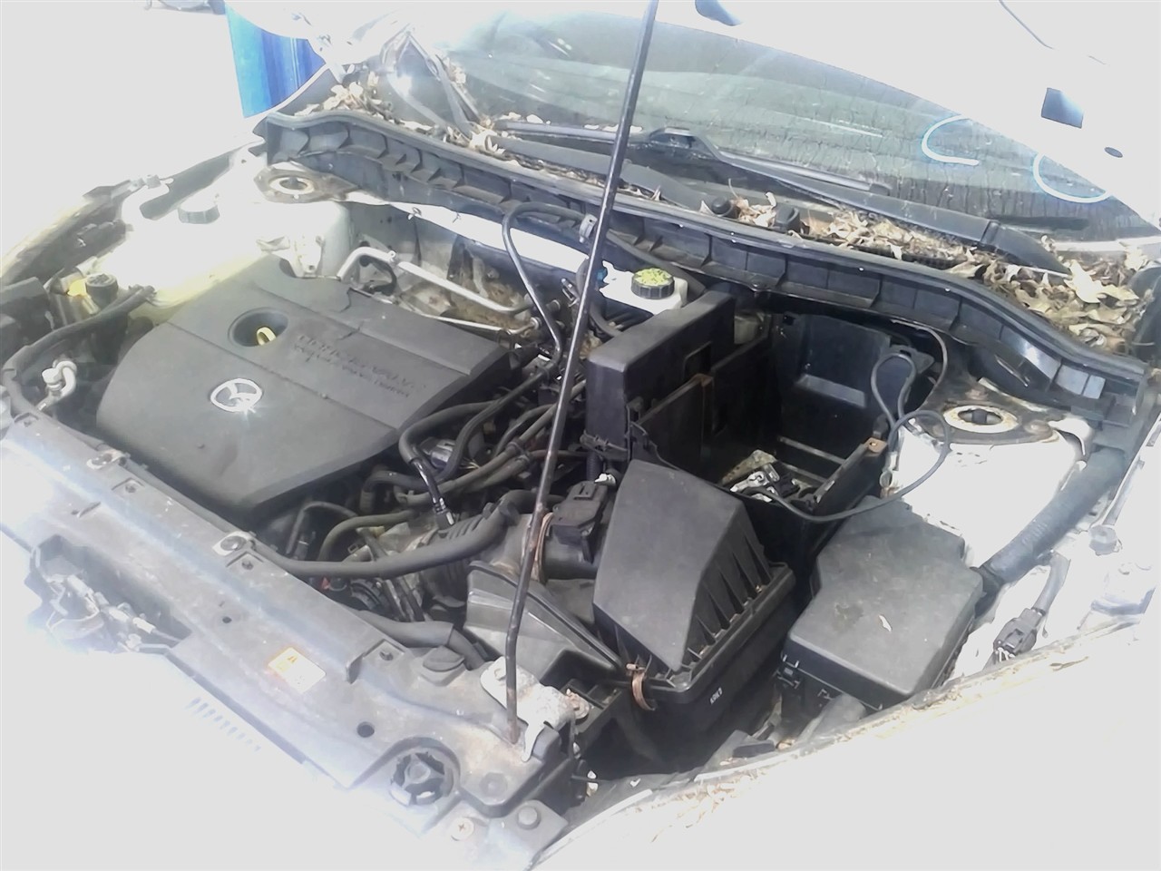 https://f005.backblazeb2.com/file/img-partshotlines-com/Inventory/NE18/Vehicle/18571_02.jpg