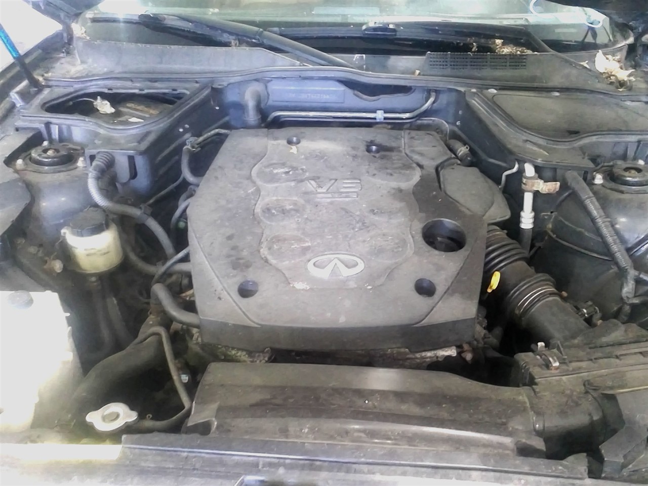 https://f005.backblazeb2.com/file/img-partshotlines-com/Inventory/NE18/Vehicle/18631_01.jpg
