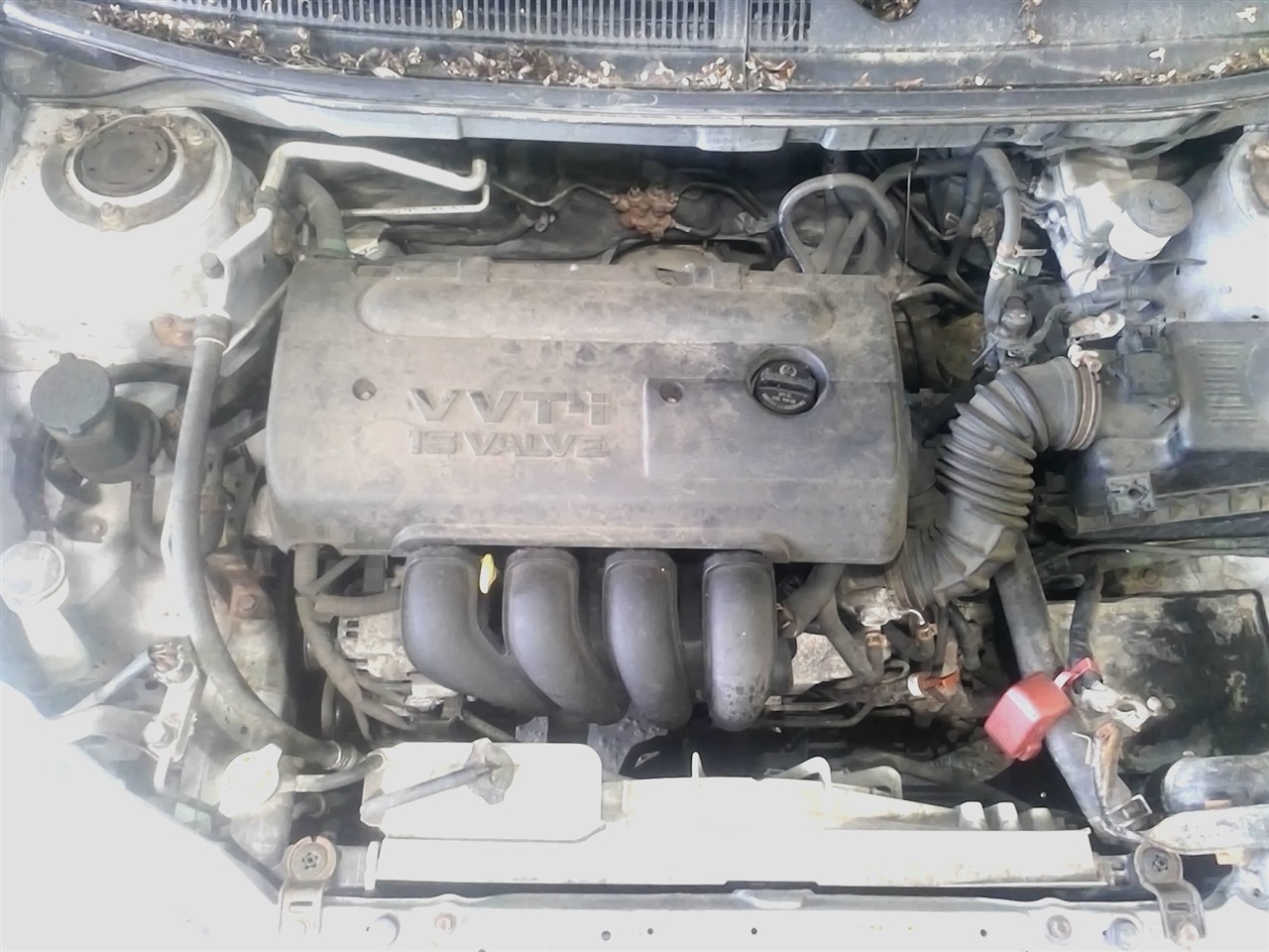 https://f005.backblazeb2.com/file/img-partshotlines-com/Inventory/NE18/Vehicle/18644_01.jpg