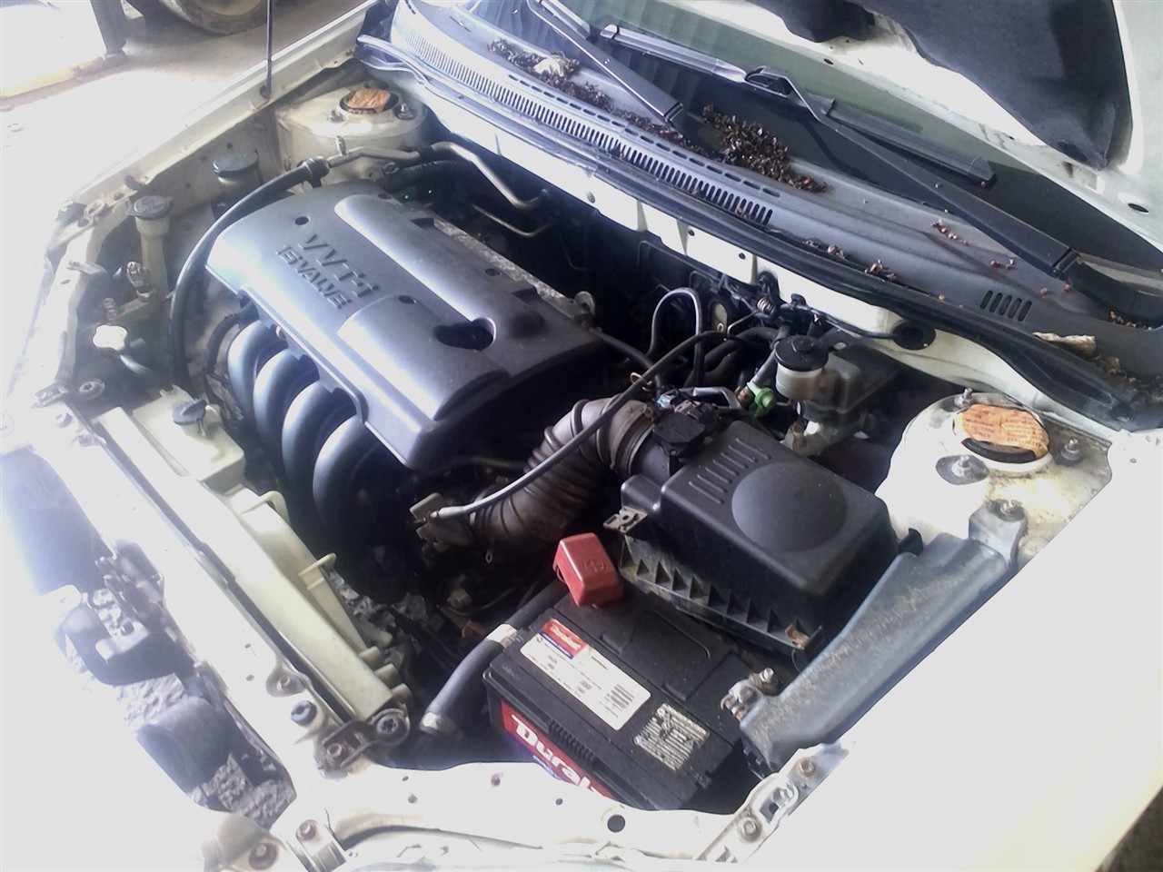 https://f005.backblazeb2.com/file/img-partshotlines-com/Inventory/NE18/Vehicle/18645_02.jpg