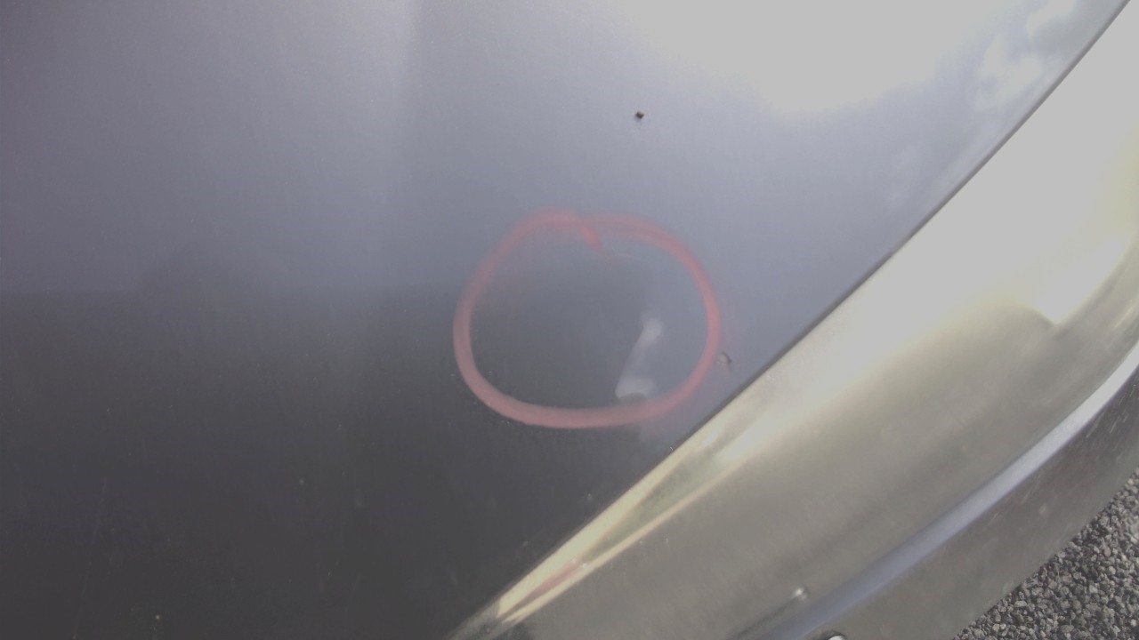 https://f005.backblazeb2.com/file/img-partshotlines-com/Inventory/NE188/Vehicle/11021_10.jpg