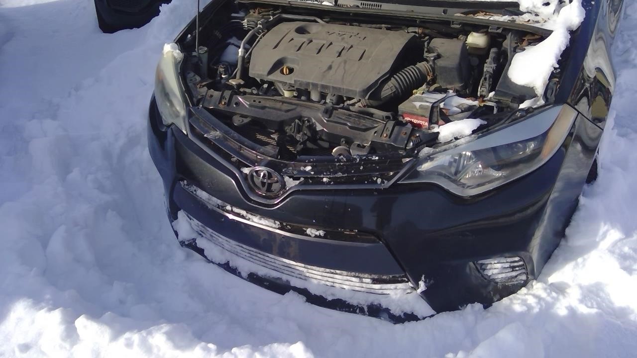 Vehicle/260478_06.jpg