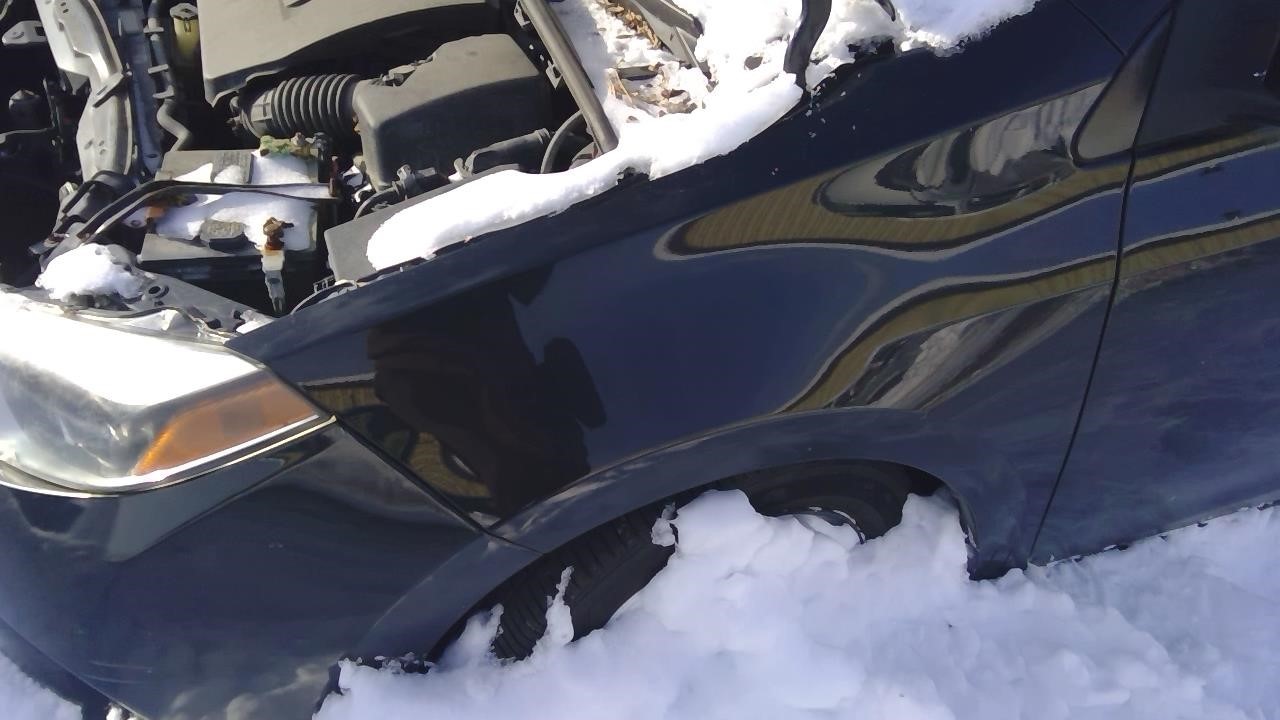 Vehicle/260478_07.jpg