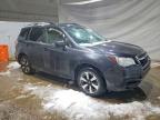 Vehicle/262291_07.jpg