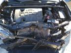 Vehicle/262664_09.jpg