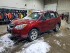 Vehicle/263856_01.jpg