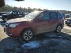 Vehicle/263864_08.jpg
