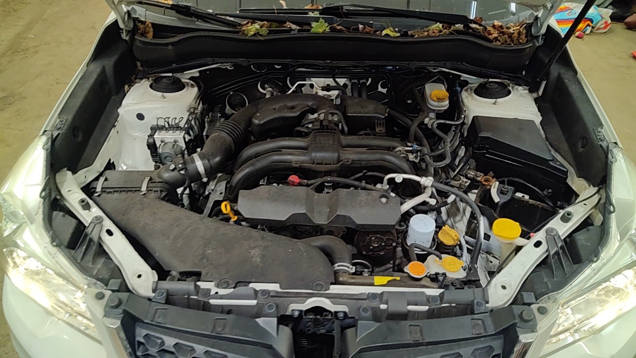 https://f005.backblazeb2.com/file/img-partshotlines-com/Inventory/NE219/Vehicle/491443_11.jpg