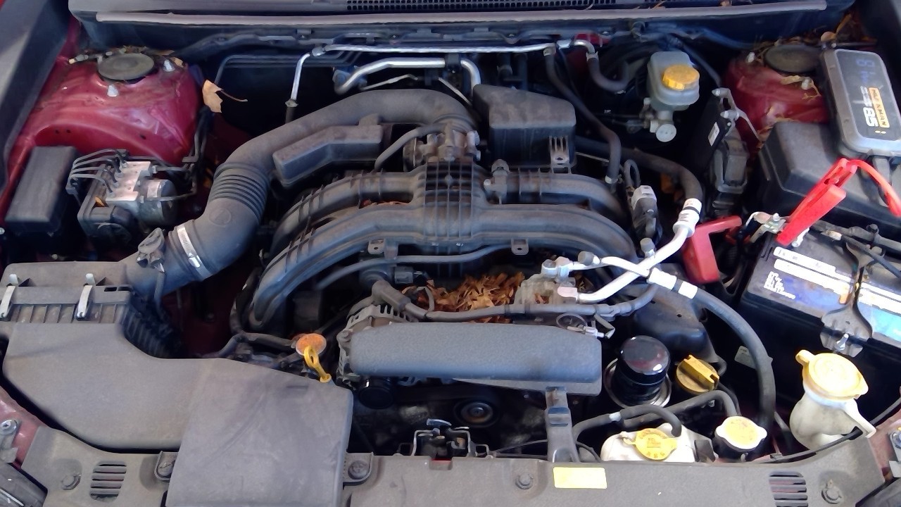 Vehicle/128408_24.jpg