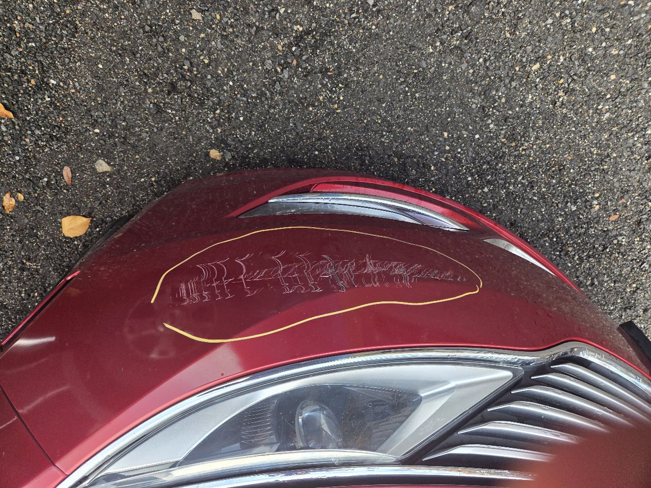 https://f005.backblazeb2.com/file/img-partshotlines-com/Inventory/NE226/Vehicle/18695_06.jpg