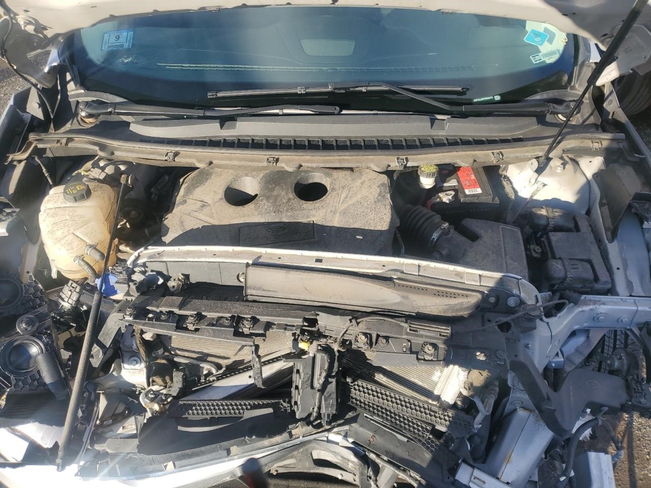 Vehicle/142194_12.jpg