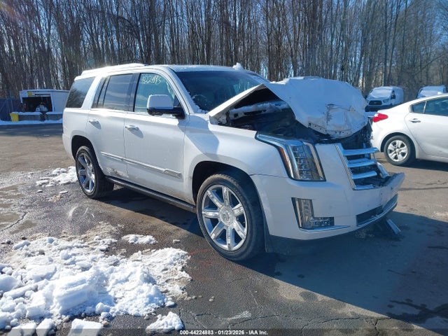 https://f005.backblazeb2.com/file/img-partshotlines-com/Inventory/NE228/Vehicle/143101_01.jpg