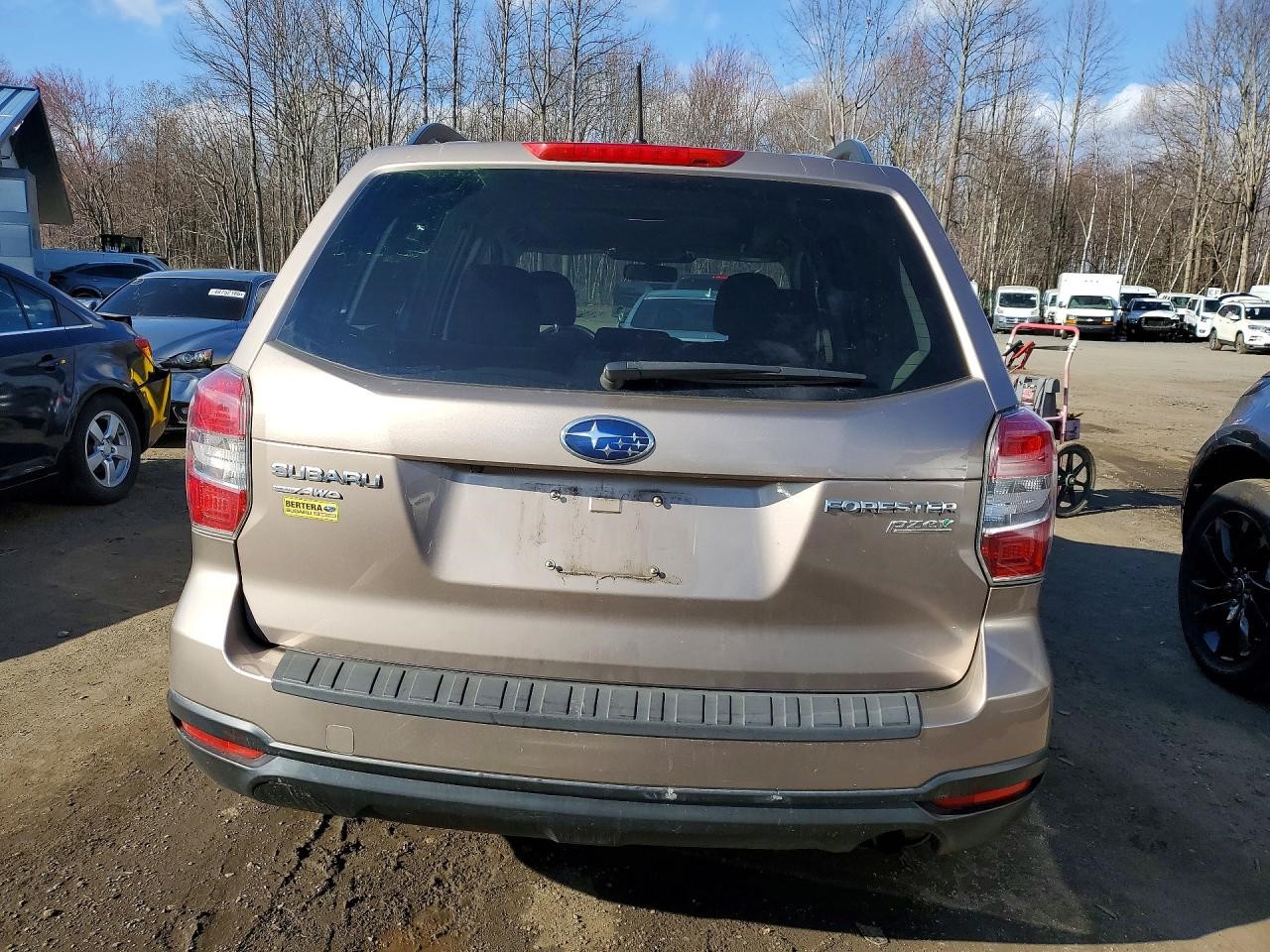 Vehicle/143152_06.jpg