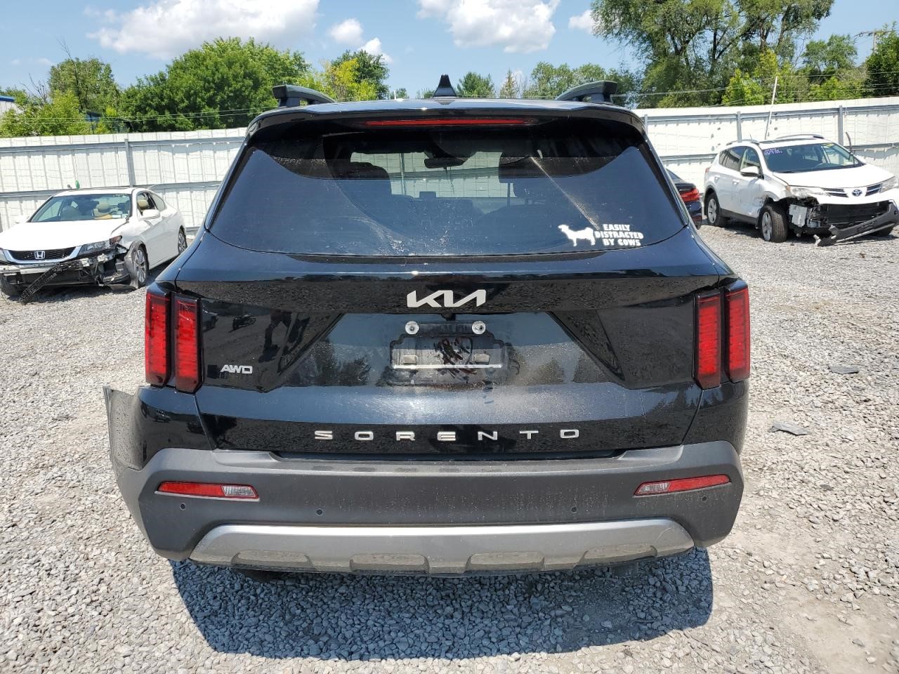 https://f005.backblazeb2.com/file/img-partshotlines-com/Inventory/NE228/Vehicle/143373_06.jpg