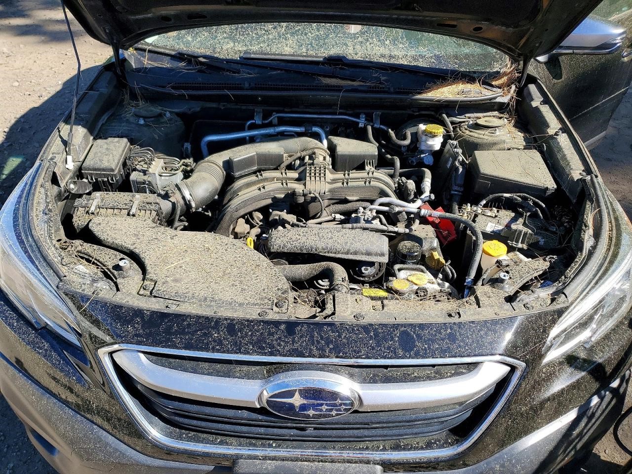 Vehicle/143691_12.jpg