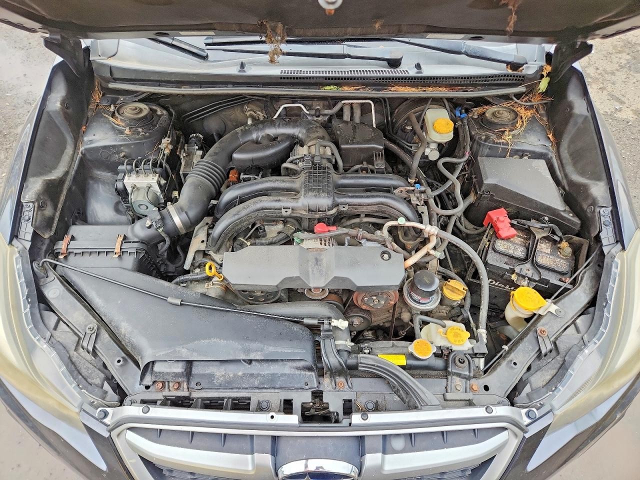 Vehicle/144166_11.jpg